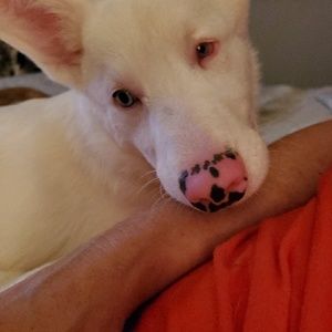 Meet your Posher, Tina